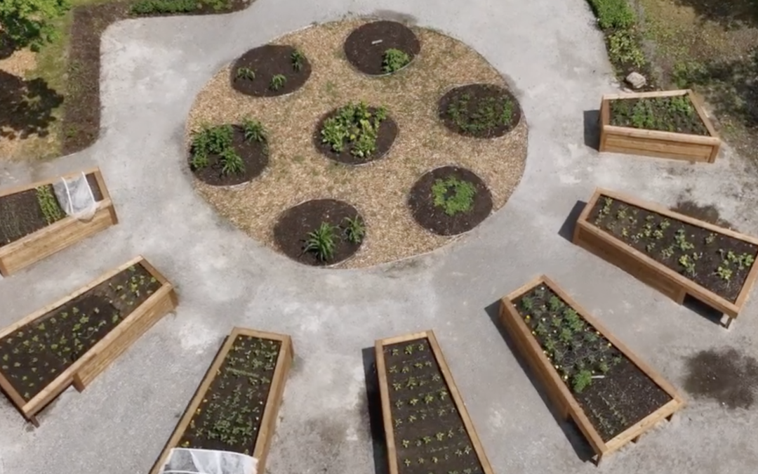 Ajax Indigenous Healing and Community Garden Tour